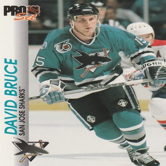 David Bruce Hockey Card Collection - Picture 2 of 3